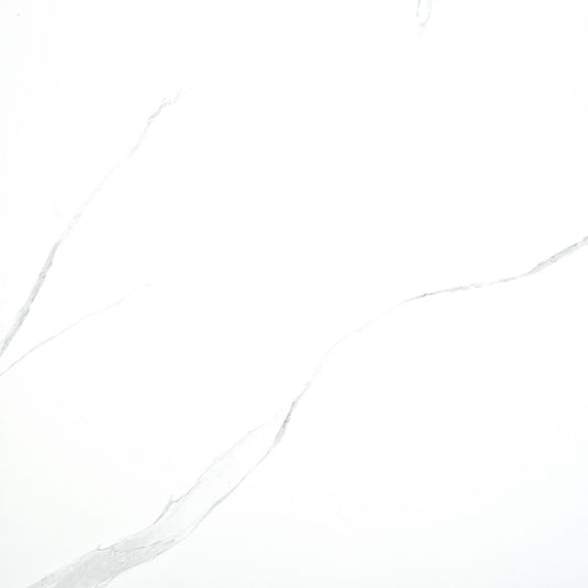 Pune Statuario Matt Floor GPor Rect 600x600 R9 (1.42) - €45.95m²