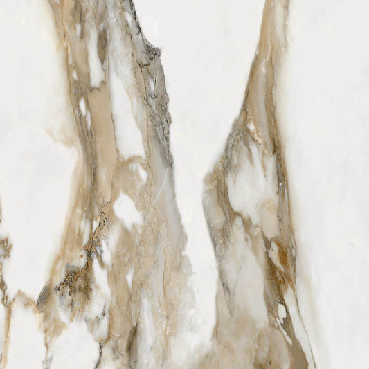 Stagnone Gold 1200x1200 Polished Rect (1.44) - €85.94m²